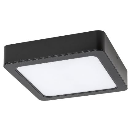 Rabalux - LED Stropné svietidlo LED/17W/230V 17 cm