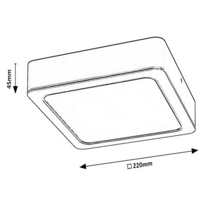 Rabalux - LED Stropné svietidlo LED/24W/230V 22x22 cm