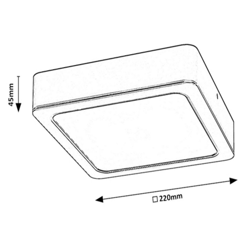 Rabalux - LED Stropné svietidlo LED/24W/230V 22x22 cm