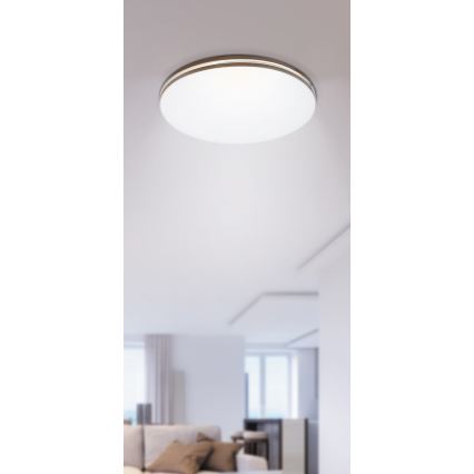 Rabalux 2763 - LED Stropné svietidlo OSCAR 1xLED/18W/230V