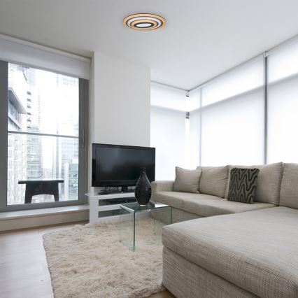 Rabalux - LED stmievateľné stropné svietidlo LED/41W/230V + diaľkové ovládanie pr. 53 cm