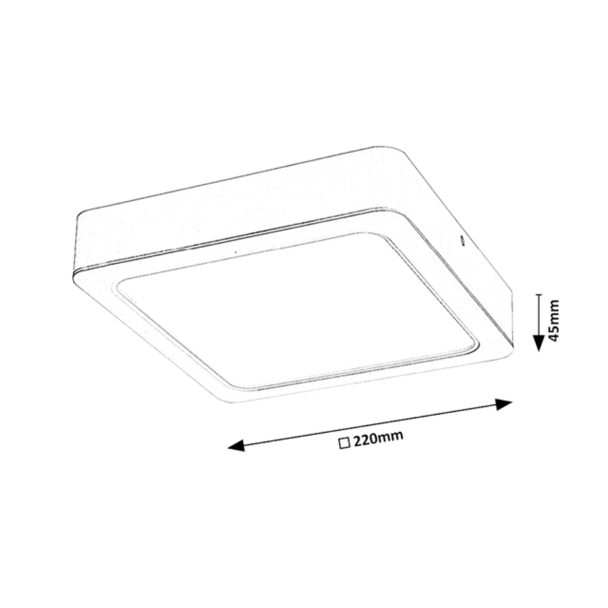Rabalux - LED Stropné svietidlo LED/24W/230V 22x22 cm