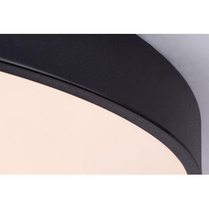 Rabalux - LED stmievateľné stropné svietidlo LED/60W/230V, priemer 60 cm + diaľkové ovládanie