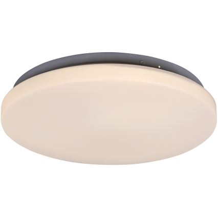 Rabalux - LED Stropné svietidlo LED/20W/230V