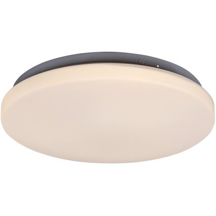 Rabalux 3338 - LED Stropné svietidlo ROB LED/20W/230V