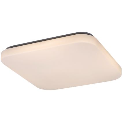 Rabalux - LED Stropné svietidlo LED/32W/230V