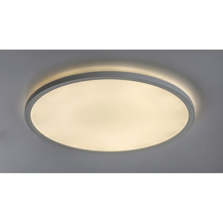 Rabalux - LED Stmievateľné stropné svietidlo LED/22W/230V