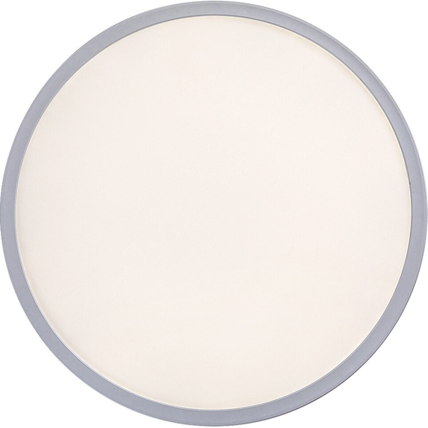 Rabalux - LED Stmievateľné stropné svietidlo LED/22W/230V