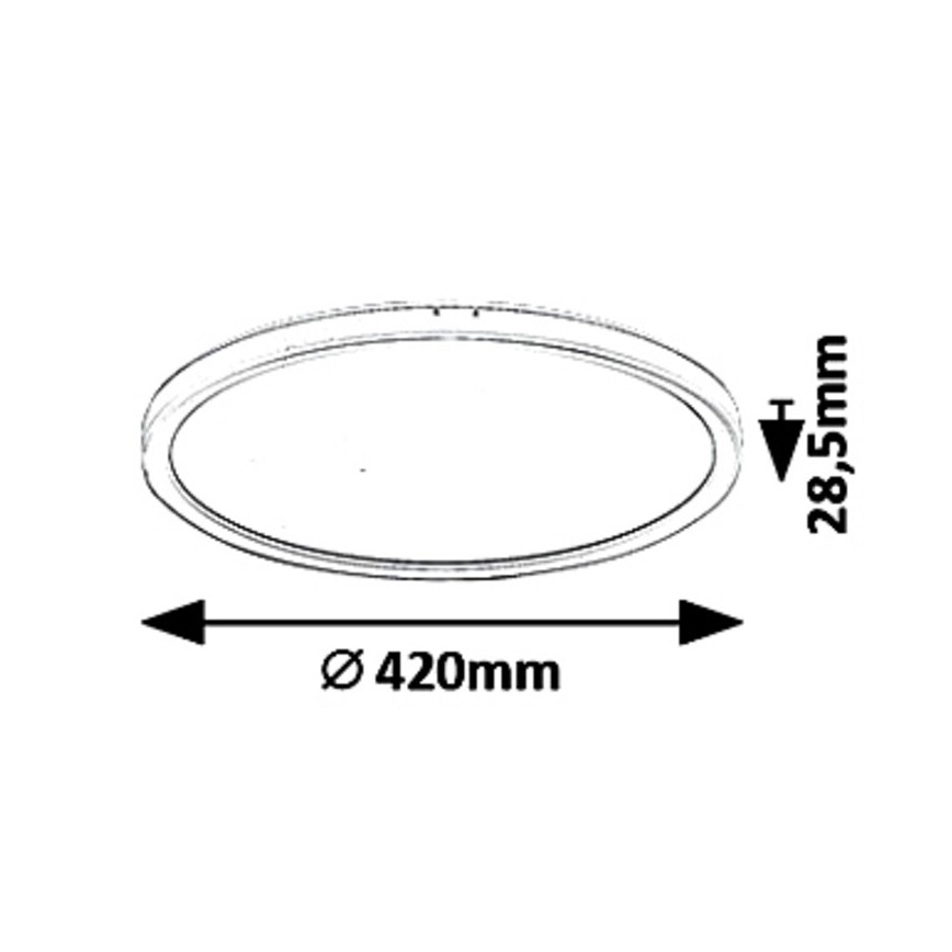 Rabalux - LED Stmievateľné stropné svietidlo LED/22W/230V