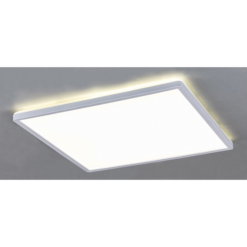 Rabalux - LED Stmievateľné stropné svietidlo LED/22W/230V