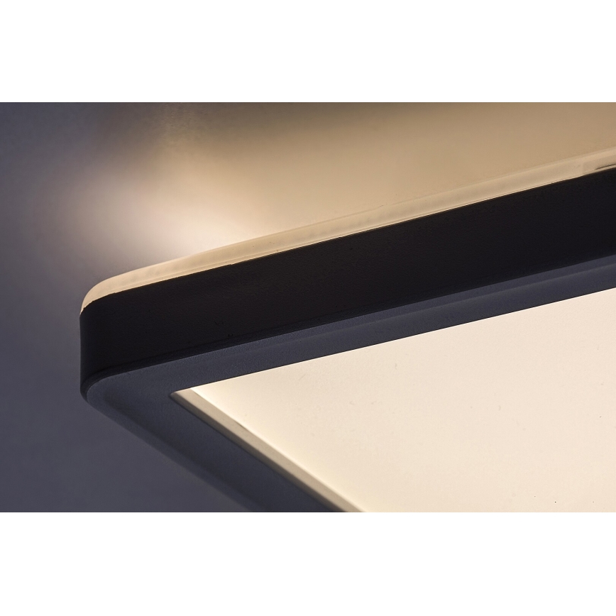 Rabalux - LED Stmievateľné stropné svietidlo LED/22W/230V