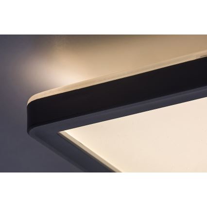 Rabalux - LED stmievateľné stropné svietidlo LED/22W/230V 42x42 cm
