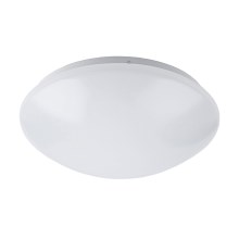 Rabalux  3439 - LED kúpeľňové stropné svietidlo LUCAS LED/24W/230V