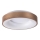 Rabalux 5053 - LED Stropné svietidlo CARMELA LED/50W/230V