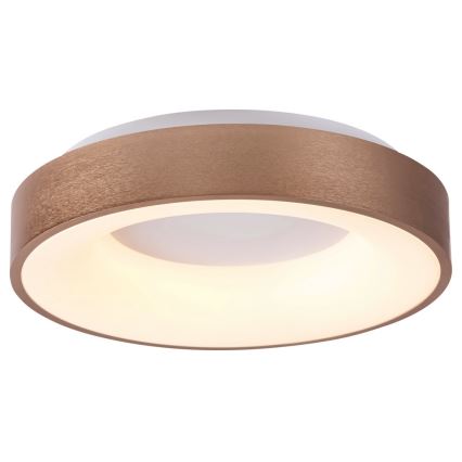 Rabalux 5053 - LED Stropné svietidlo CARMELA LED/50W/230V