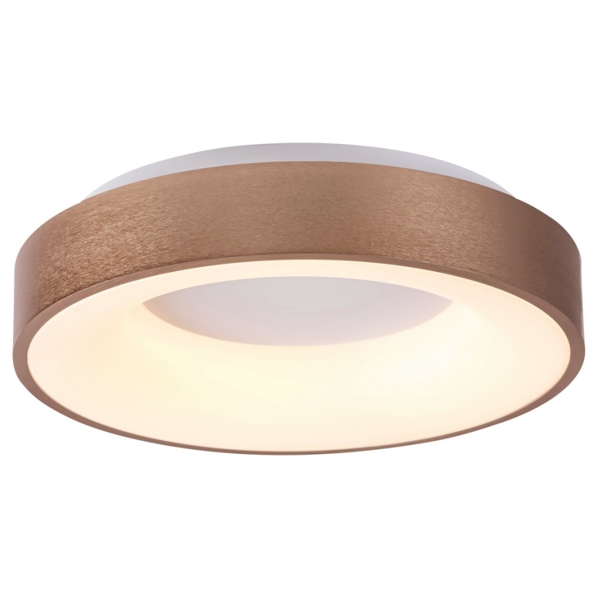 Rabalux 5053 - LED Stropné svietidlo CARMELA LED/50W/230V