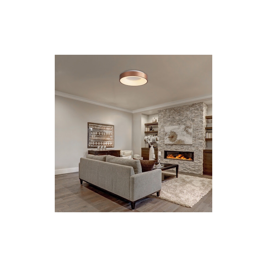 Rabalux 5053 - LED Stropné svietidlo CARMELA LED/50W/230V