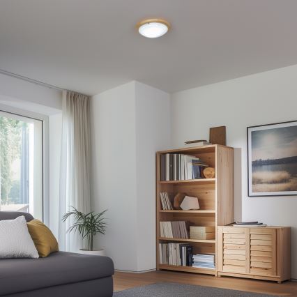 Rabalux - Stropné svietidlo 1xE27/60W/230V pr. 30 cm