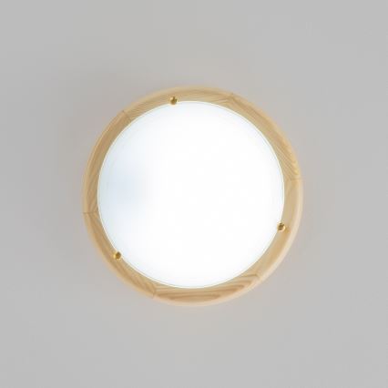 Rabalux - Stropné svietidlo 1xE27/60W/230V pr. 30 cm