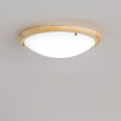 Rabalux - Stropné svietidlo 1xE27/60W/230V pr. 30 cm