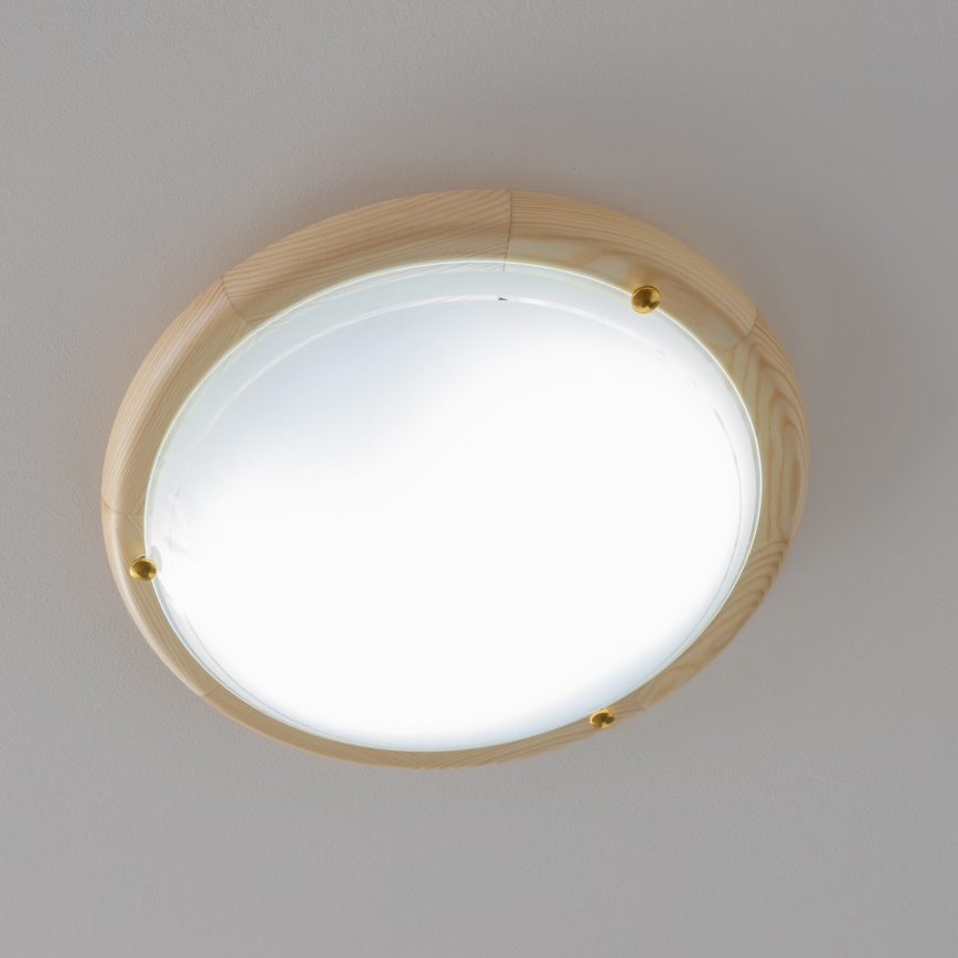 Rabalux - Stropné svietidlo 1xE27/60W/230V pr. 30 cm