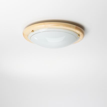 Rabalux - Stropné svietidlo 1xE27/60W/230V pr. 30 cm