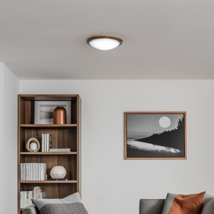Rabalux - Stropné svietidlo 1xE27/60W/230V pr. 30 cm
