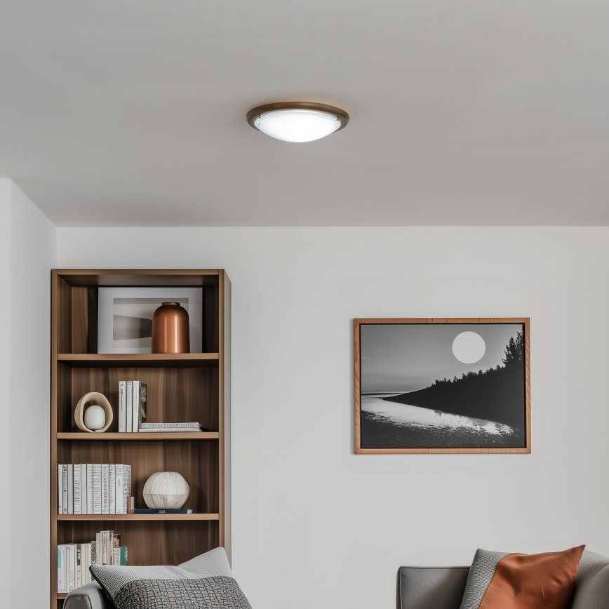 Rabalux - Stropné svietidlo 1xE27/60W/230V pr. 30 cm