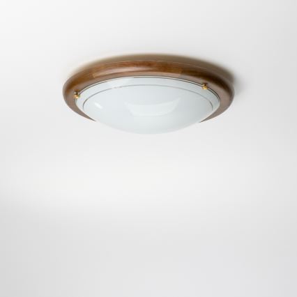 Rabalux - Stropné svietidlo 1xE27/60W/230V pr. 30 cm