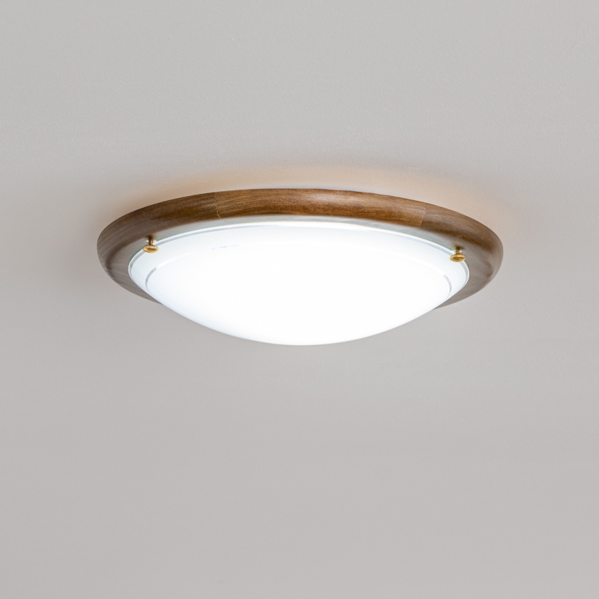 Rabalux - Stropné svietidlo 1xE27/60W/230V pr. 30 cm