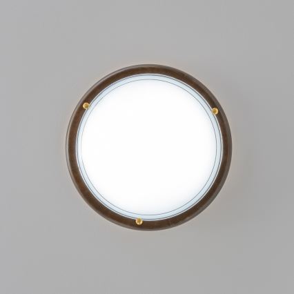 Rabalux - Stropné svietidlo 1xE27/60W/230V pr. 30 cm