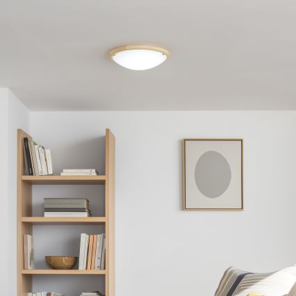 Rabalux - Stropné svietidlo 2xE27/60W/230V pr. 38 cm