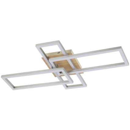 Rabalux - LED Stropné svietidlo LED/24W/230V
