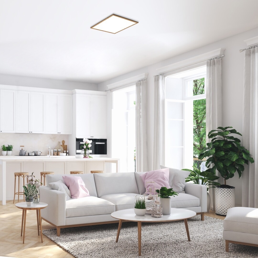 Rabalux - LED Prisadený panel LED/40W/230V 4000K