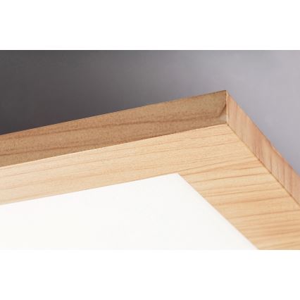 Rabalux - LED Prisadený panel LED/40W/230V 4000K