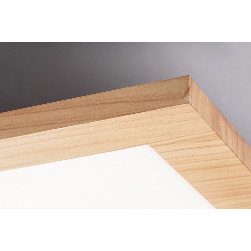 Rabalux - LED Prisadený panel LED/40W/230V 4000K