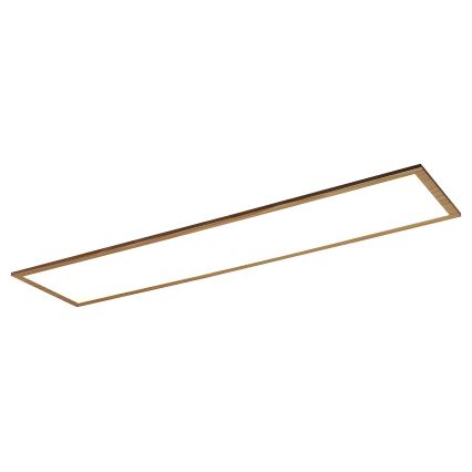 Rabalux - LED Prisadený panel LED/40W/230V 4000K