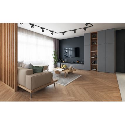 Rabalux - LED Bodové svietidlo do 1-fázového lištového systému LED/5W/24V 3000K čierna