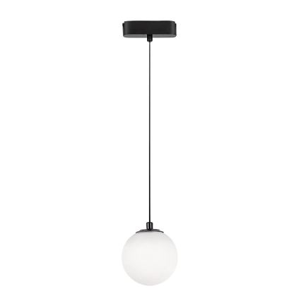Rabalux - LED Luster na lanku do 1-fázového lištového systému LED/5W/24V 4000K čierna