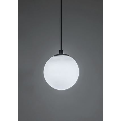 Rabalux - LED Stmievateľný luster na lanku do 1-fázového lištového systému LED/5W/24V 2700-5500K Wi-Fi Tuya čierna