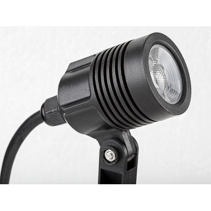 Rabalux - LED Vonkajšia lampa LED/3W/230V IP65