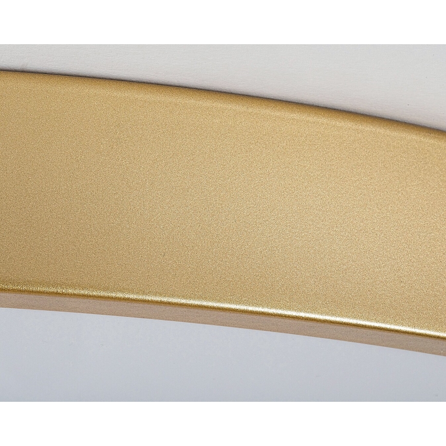 Rabalux - LED Stmievateľné stropné svietidlo LED/60W/230V 3000-6000K + diaľkové ovládanie
