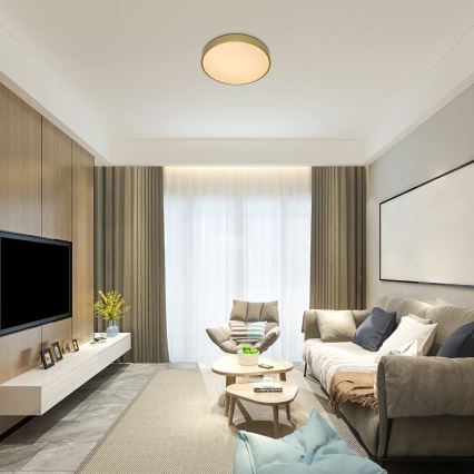 Rabalux - Stropné stmievateľné LED svietidlo LED/60W/230V 3000-6000K s diaľkovým ovládaním, priemer 60 cm