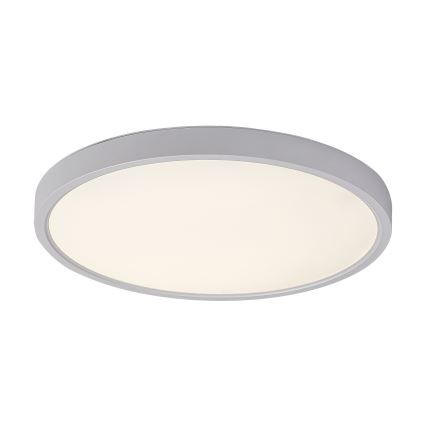 Rabalux - LED Stropné svietidlo LED/24W/230V 4000K pr. 30 cm biela
