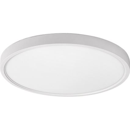 Rabalux - LED Stropné svietidlo LED/24W/230V 4000K pr. 30 cm biela