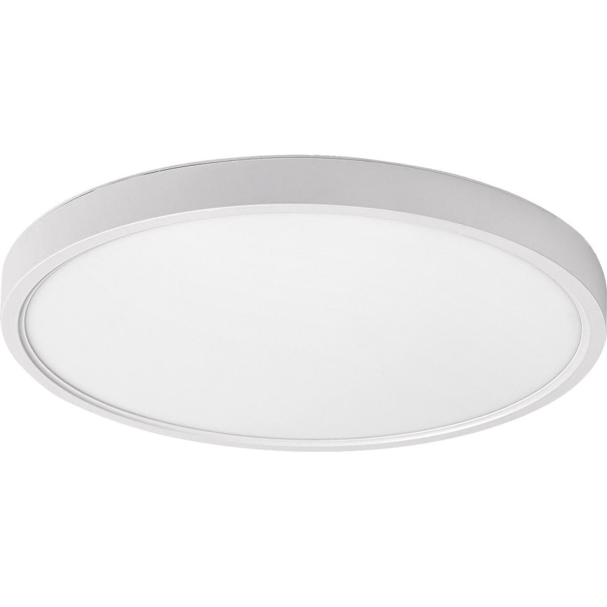 Rabalux - LED Stropné svietidlo LED/24W/230V 4000K pr. 30 cm biela