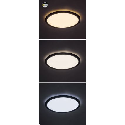 Rabalux - LED Stropné svietidlo LED/24W/230V 3000/4000/6000K pr. 29 cm čierna