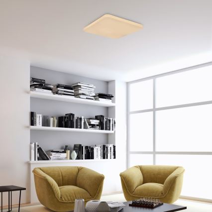 Rabalux - LED Stropné svietidlo LED/12W/230V 3000K 28x28 cm