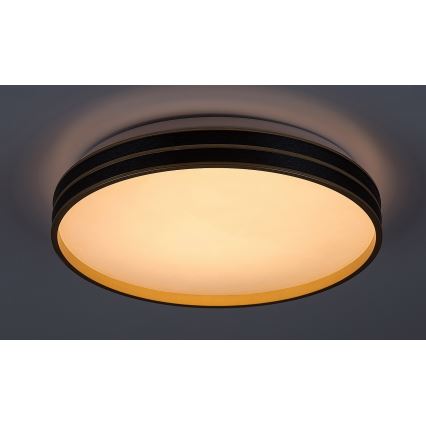 Rabalux - LED Stmievateľné stropné svietidlo LED/24W/230V 3000-6500K + diaľkové ovládanie