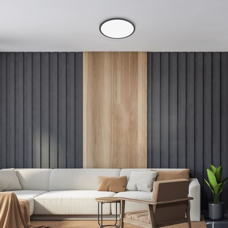 Rabalux - LED Stmievateľné stropné svietidlo LED/22W/230V 3000K 42 cm